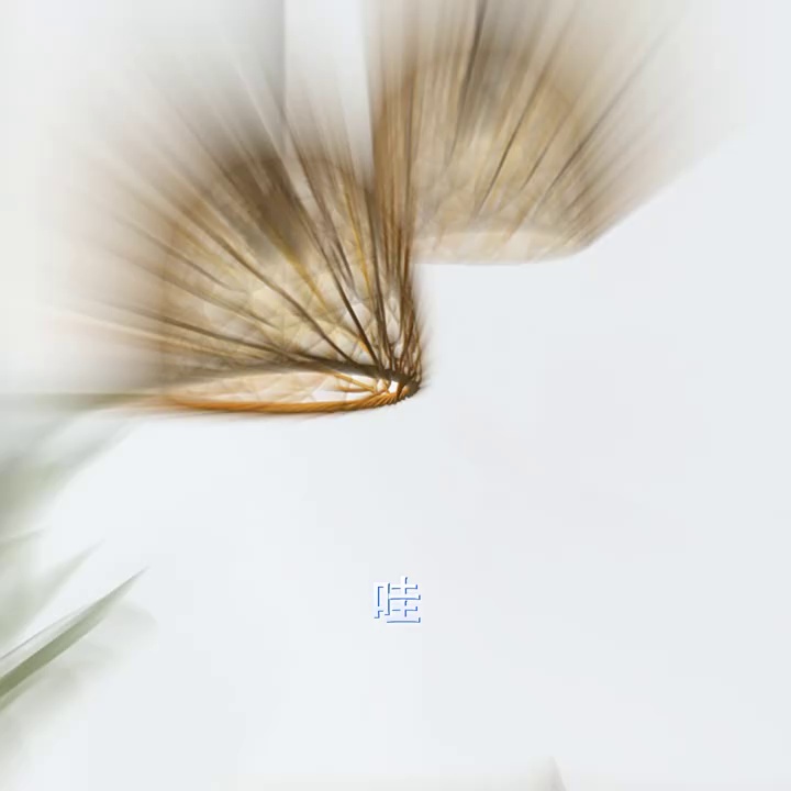 缩略图 1