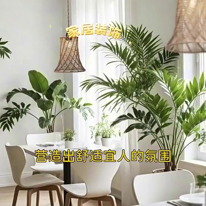 缩略图 1