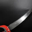 缩略图 4