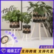 缩略图 2