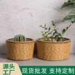 缩略图 3