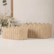缩略图 5