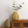 缩略图 2