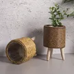 缩略图 3