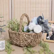 缩略图 5