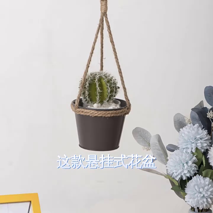 缩略图 1