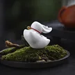 缩略图 1