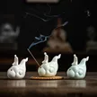 缩略图 1