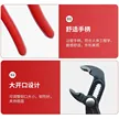缩略图 5