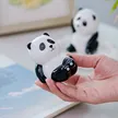 缩略图 3