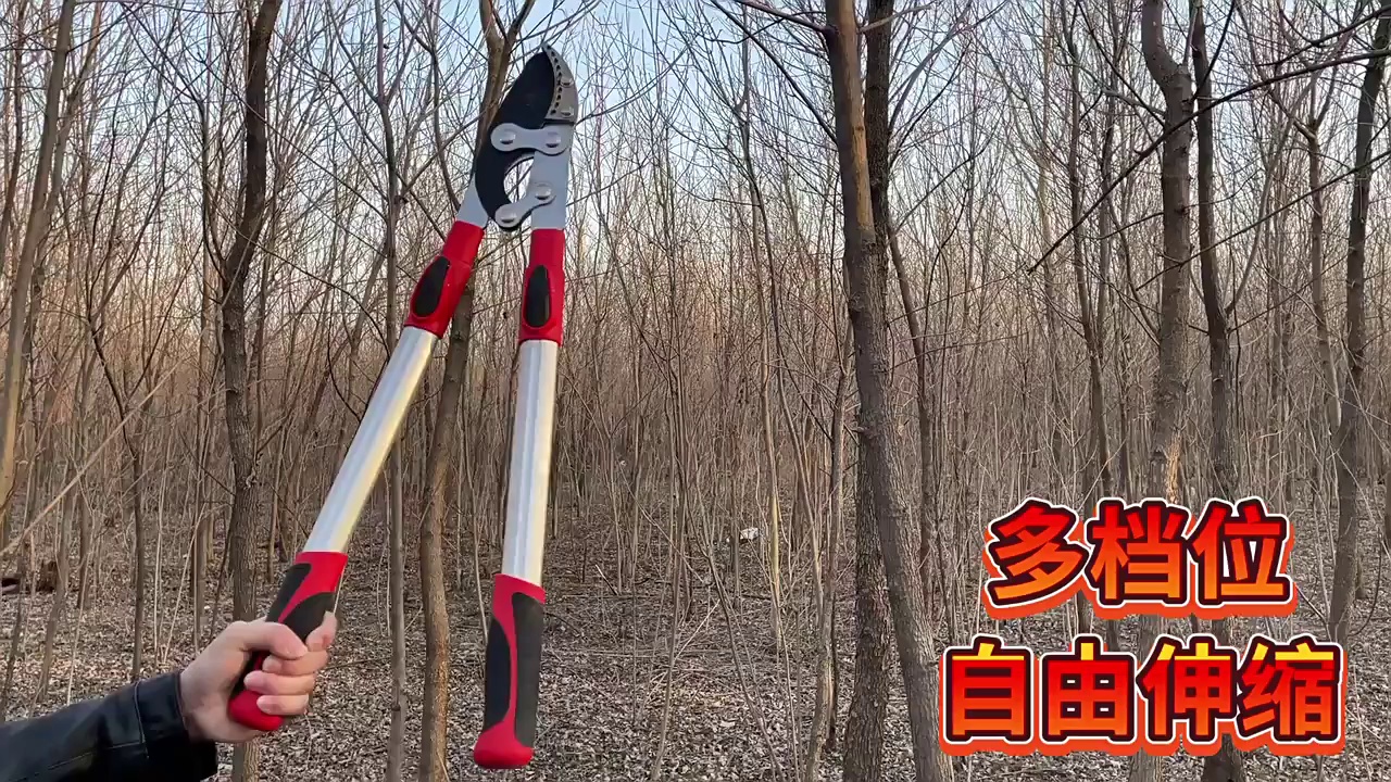 缩略图 1