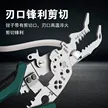 缩略图 4