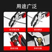 缩略图 5