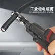 缩略图 4