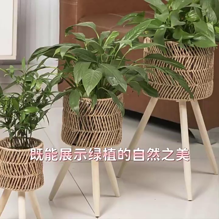 缩略图 1