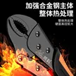 缩略图 3