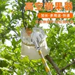 缩略图 2