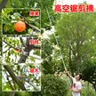 缩略图 3