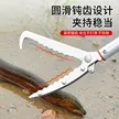 缩略图 2