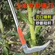缩略图 2