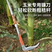 缩略图 3