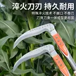 缩略图 5