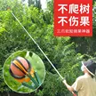 缩略图 3