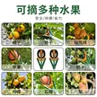 缩略图 4