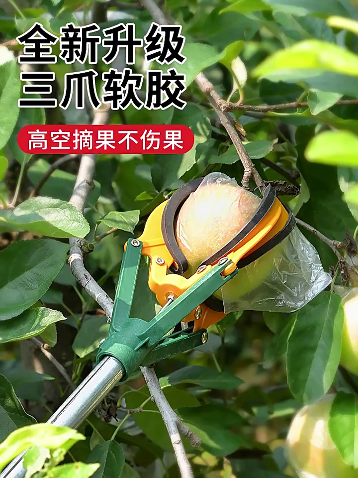 缩略图 1