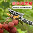 缩略图 6