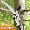 缩略图 2