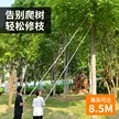 缩略图 3