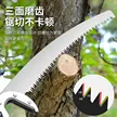 缩略图 5