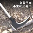 缩略图 4