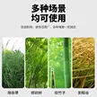 缩略图 5
