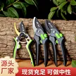 缩略图 2