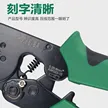 缩略图 5