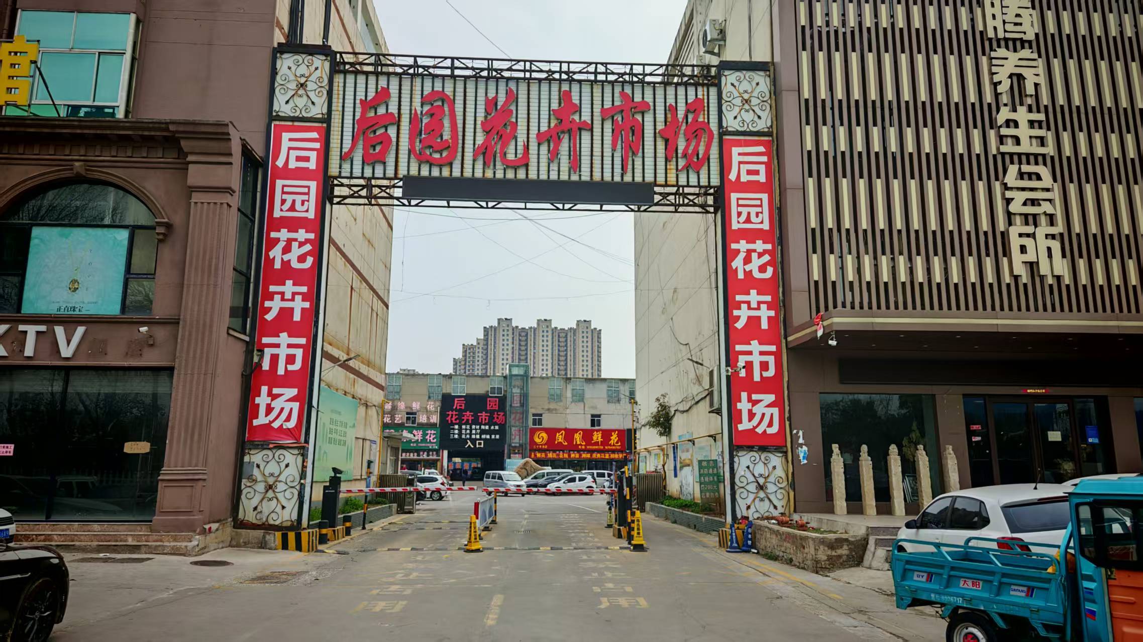 后园花卉市场