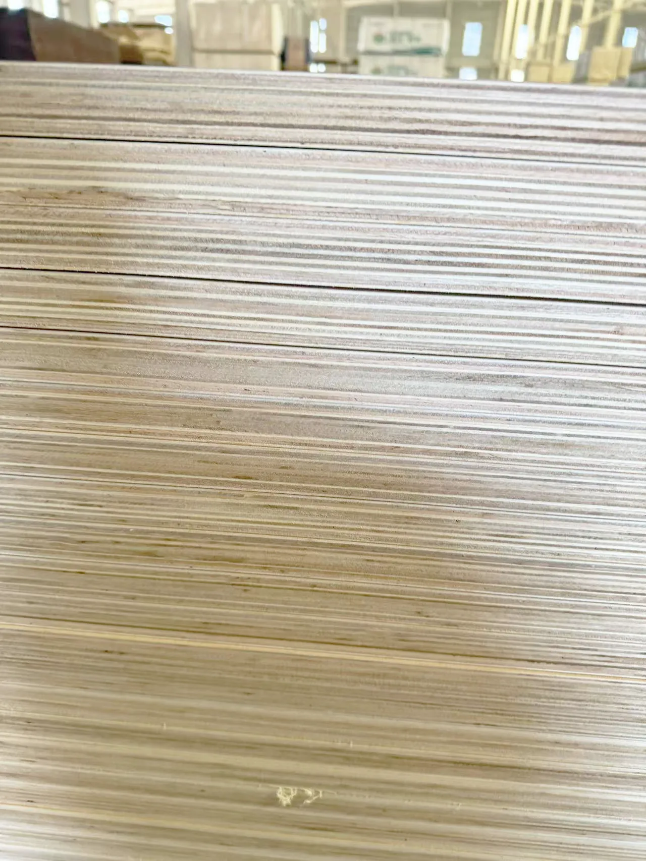 主图 1