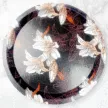 缩略图 1