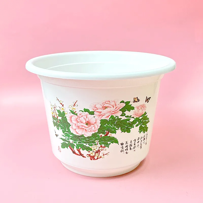 主图 1