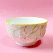 缩略图 1
