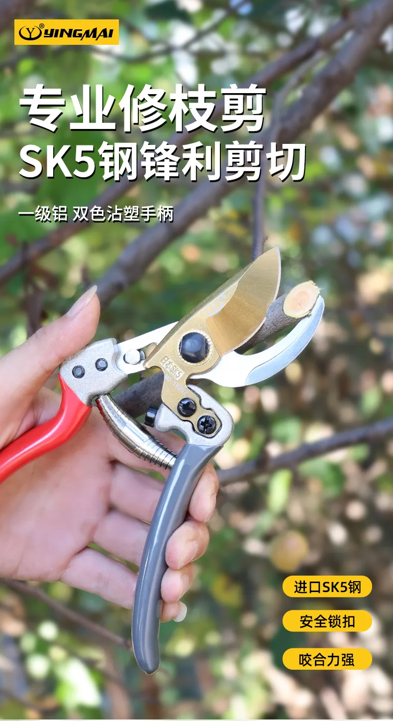 主图 1