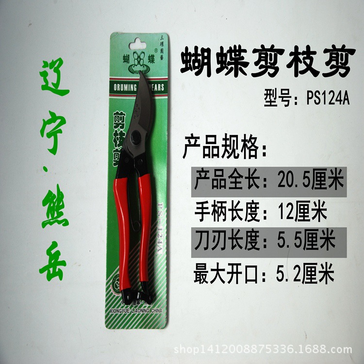 蝴蝶