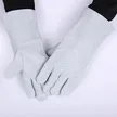缩略图 1