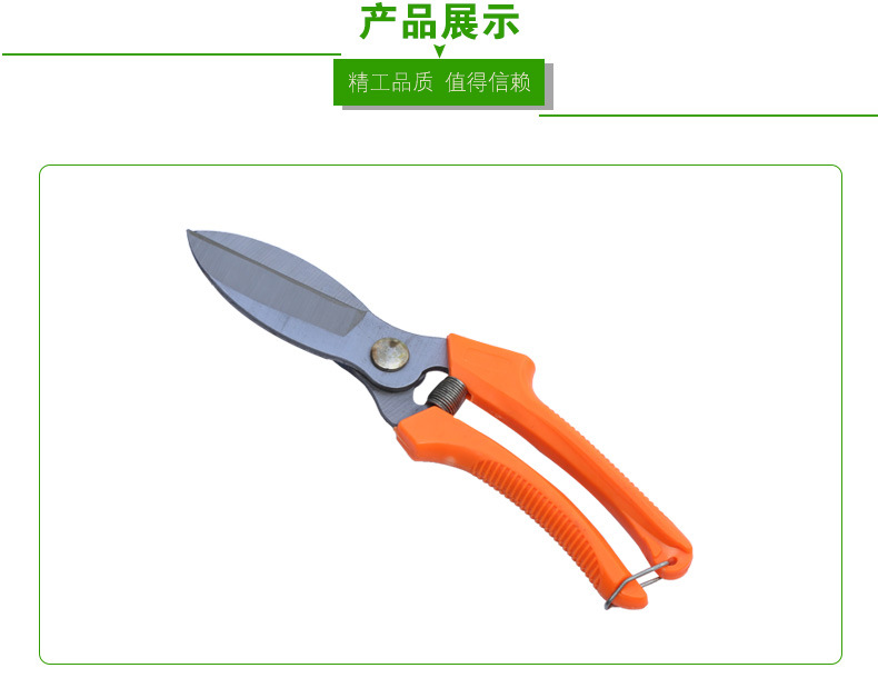 蒜剪_10