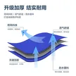 缩略图 5