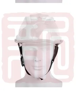 主图 1