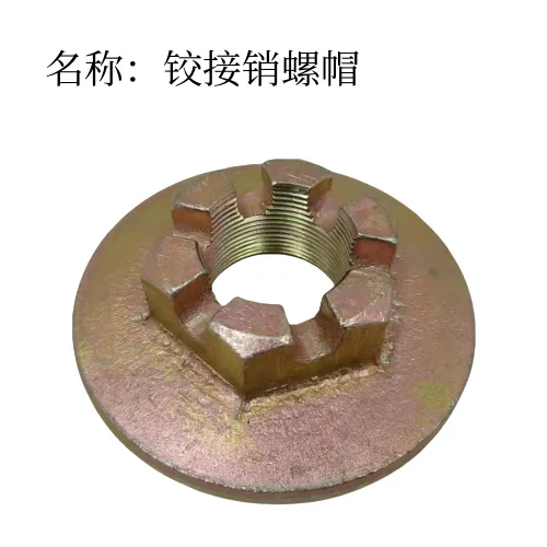 主图 1