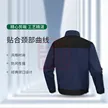 缩略图 5
